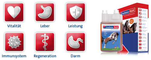 Gladiator Plus Pferd- Unterstützung der Darmflora