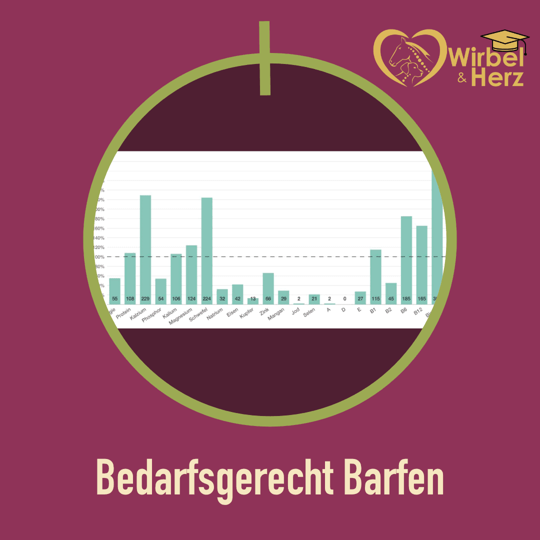 Pi mal Daumen oder richtig barfen?