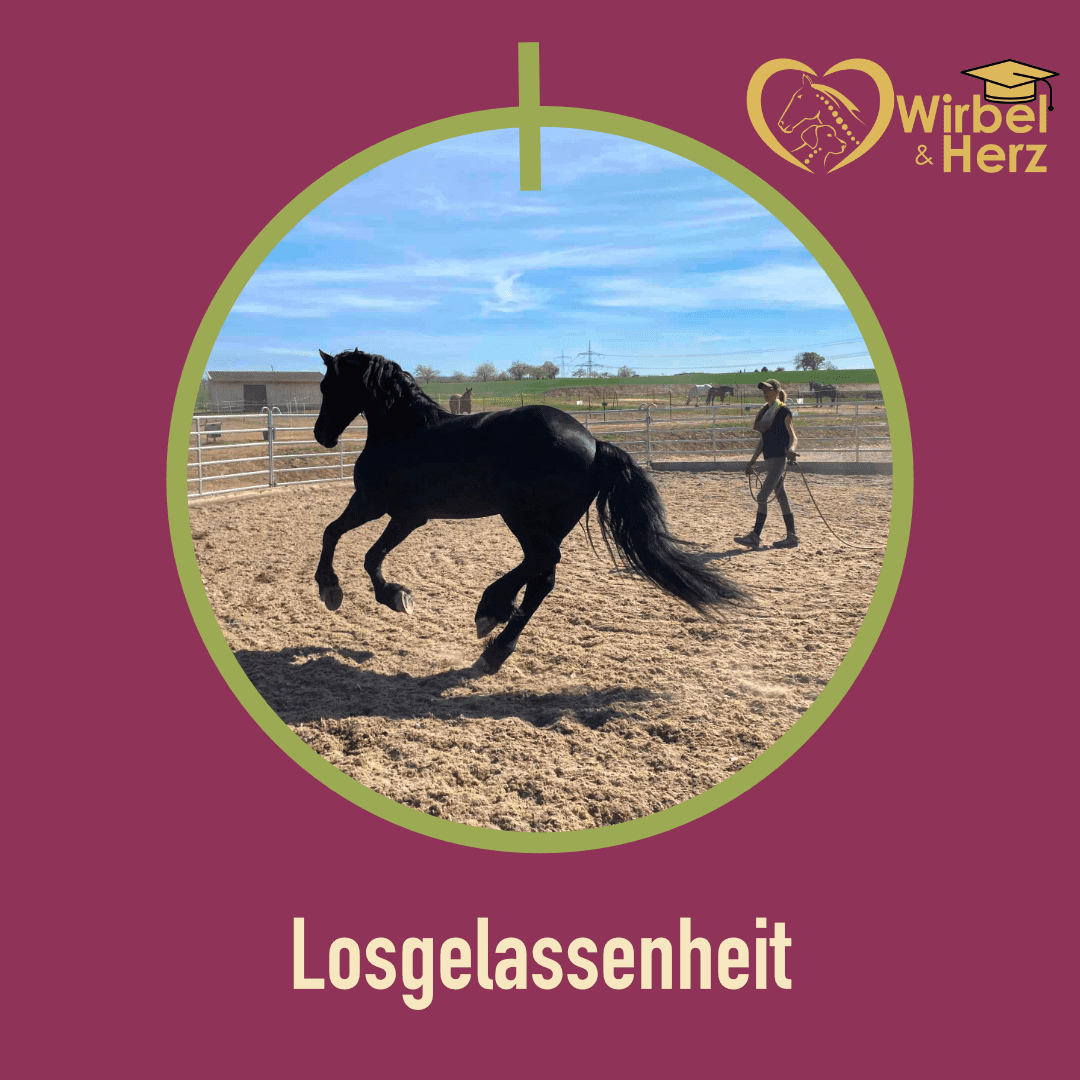 Losgelassenheit  – Selbst loslassen können – sich selbst im Sattel wieder spüren lernen🥰🦄