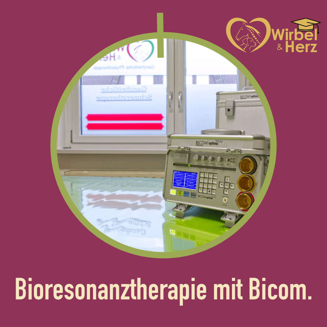 Bioresonanztherapie mit Bicom