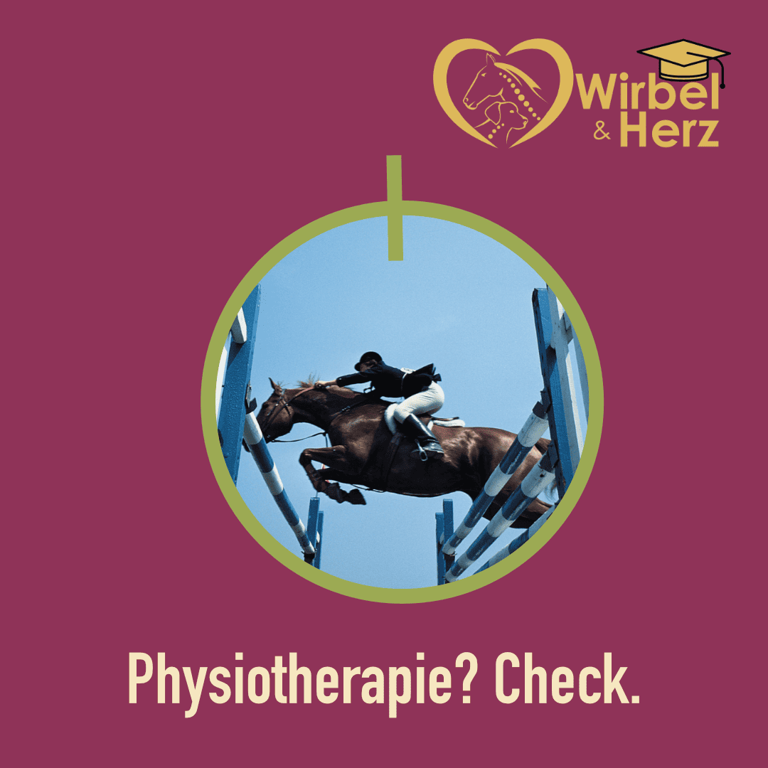 Die Bedeutung regelmäßiger Physiotherapie-Checkups für Dein Pferd