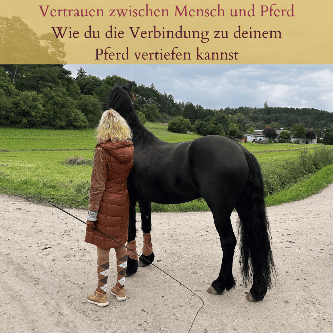 Vertrauen zwischen Mensch und Pferd